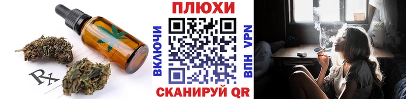Купить  Зуевка  Canna-Cookies конопля 